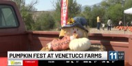 'We try to keep everything very simple and intimate': 5th annual 'Pumpkin Fest' at Venetucci Farm