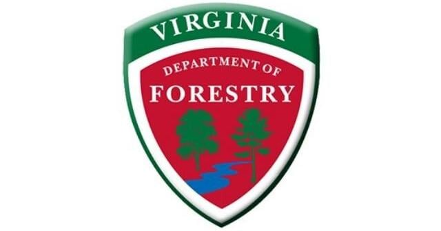 Department of Forestry explains why leaves change colors