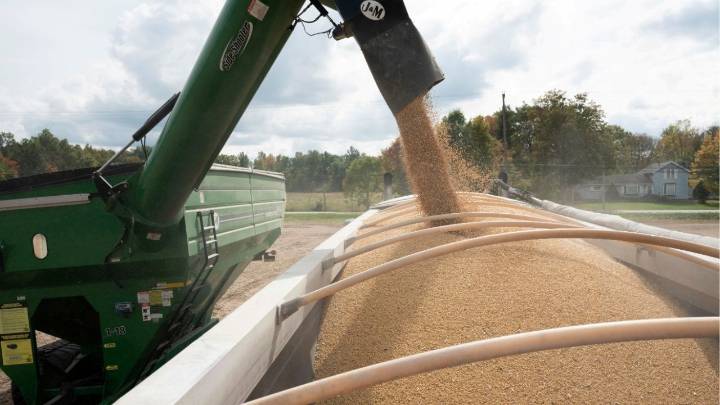Trump Bailout for Trade-Hit US Farmers Expected This Week