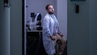«Unas moléculas que se usan como suplementos endurecen la pared de la aorta»