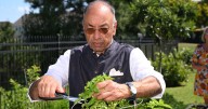 The chef behind Saffron NOLA prepares to welcome family with a feast. See his recipes.