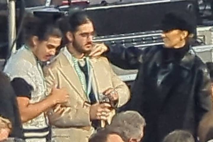 Céline Dion, Her 3 Sons Attend Paul McCartney Concert in Las Vegas