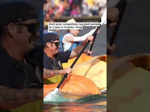 Who needs a boat when you can race a floating pumpkin?