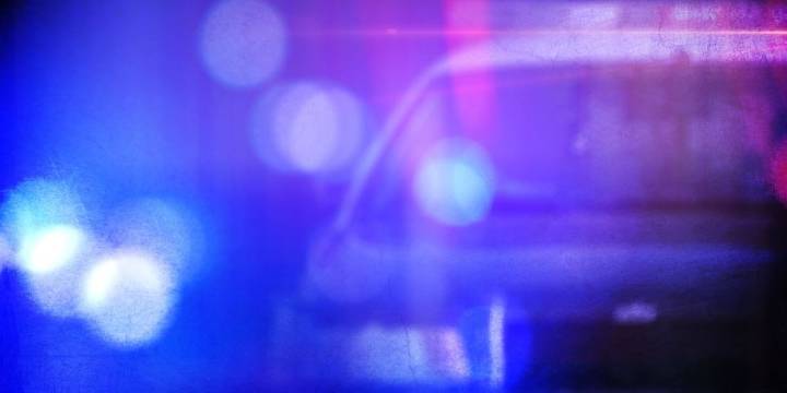 DCSO searching for man wanted in connection to Omaha dog attack