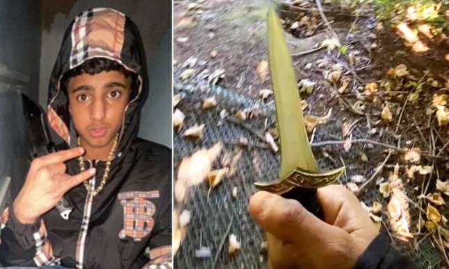 Teenager who stabbed Harvey Willgoose took an axe to school weeks before murder