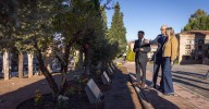 Reforzado el dispositivo municipal de Todos los Santos para atender el incremento de visitantes al cementerio de Granada