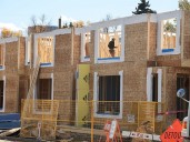 Candidates are vowing to repeal blanket rezoning