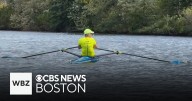 Toxic algae coating parts of Charles River ahead of regatta