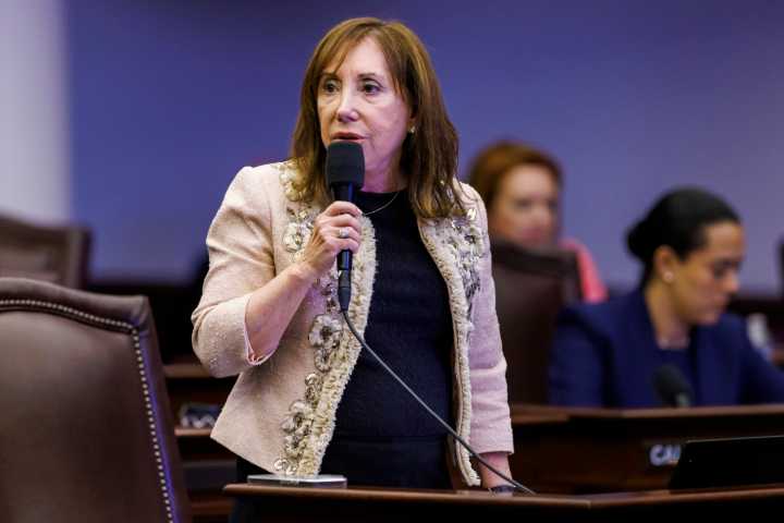 Lori Berman renews her fight to shield victims of violence