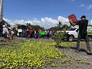 Lamentos por el limonero, pero ignoraron todas sus denuncias
