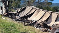 Family in Speedwell rebuilds life after fire destroys home