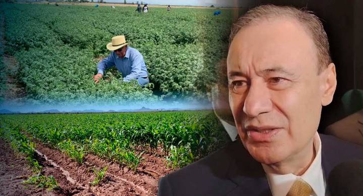 Ante paro de agricultores al sur de Sonora, apoyamos junto a Sader y esperamos llegar a entendimiento: Alfonso Durazo