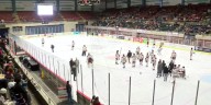Savannah hockey players have new public ice