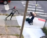 Allerton: Mom Seeks Justice After Daughter & Puppy Assaulted by Gang