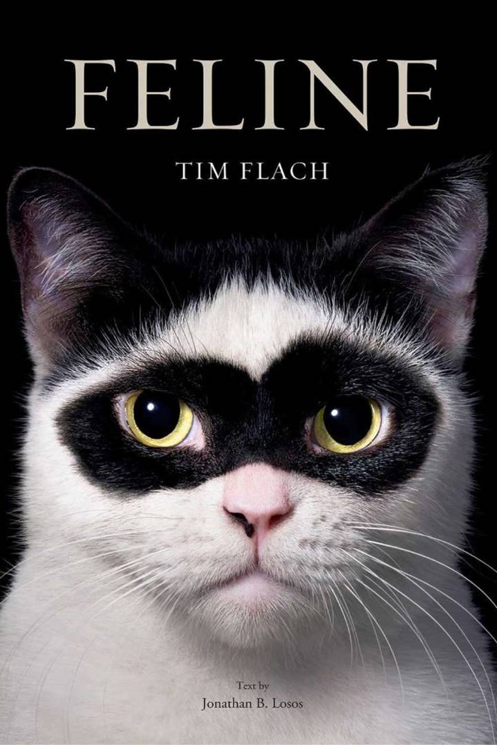 Celebrate National Cat Day with These Feline Portraits (Exclusive)