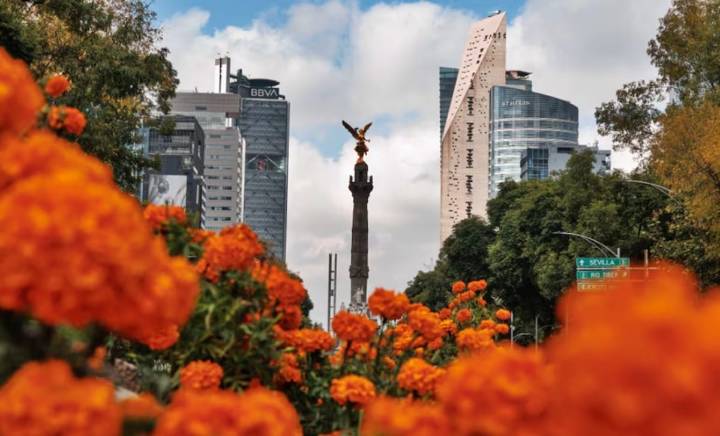 ¿Qué actividades hay en CDMX este fin de semana? Guías gratis para este 24, 25 y 26 de octubre de 2025