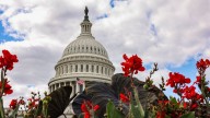 Mass layoffs! Trump admin axes over 4,000 federal workers amid US govt shutdown