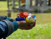 Recolectarán 36 mil tapas plásticas para crear un mural ecológico