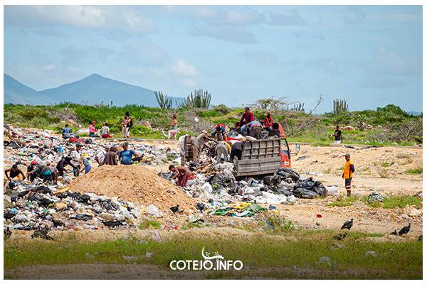 Cotejo.info revela cómo 20 familias sobreviven entre la basura en el vertedero de Paraguaná