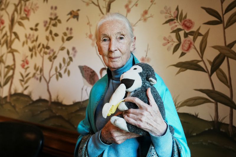 Wildlife advocate, primate expert Jane Goodall dies at 91