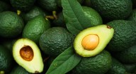 El aguacate hass será epicentro en Territorio Aguacate 2025, un evento que resalta su producción y comercialización