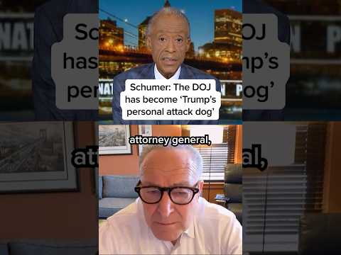 Schumer: The DOJ has become 'Trump's personal attack dog'