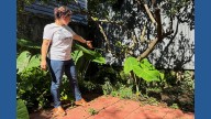 A long-lost ancient Roman artifact reappears in a New Orleans backyard
