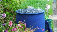 16 Ways To Reuse Rainwater, Air Conditioner, Or Dehumidifier Water At Home Or In The Garden