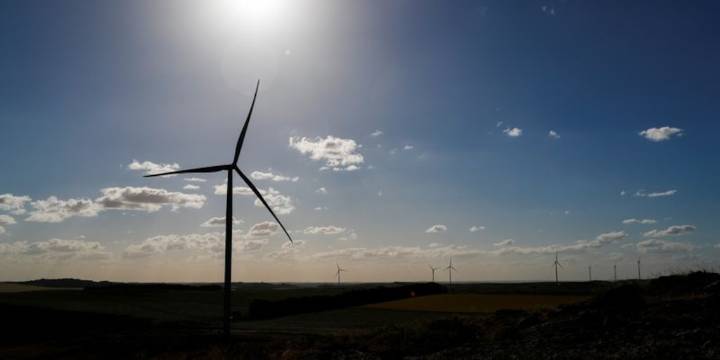 Transición energética y biodiversidad: un futuro posible más allá de 2030