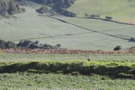 Boyacá debe prepararse para enfrentar el Fenómeno de El Niño