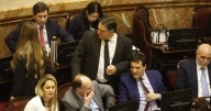 El Senado rechazó los vetos presidenciales en Garrahan y universidades