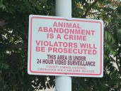 REMINDER: Animal Abandonment Is A Crime In Contra Costa County