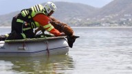 Muere Odín, Perro Rescatista de Manada K9 de Protección Civil de Nuevo León