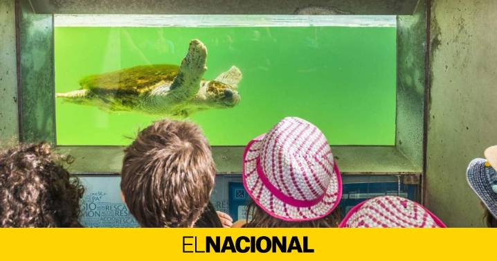 Vive el otoño más sostenible en el Baix Llobregat: naturaleza, territorio y planes únicos