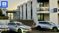 Police investigating reports of explicit deepfake images of girls from Sydney school