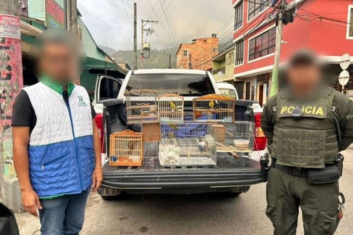 Cdmb y Policía rescataron aves cautivas en el barrio Bucaramanga
