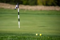 Saginaw-area sports highlights: Freeland claims girls golf regional title