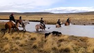 Realizaron allanamiento en una estancia de El Calafate por hurto de ganado