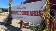 How the recent warm weather impacted the crop at Bishop’s Orchards in Guilford