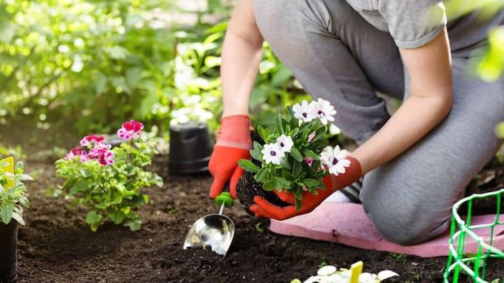 Comenzará un curso gratuito de jardinería para habitantes del departamento General López