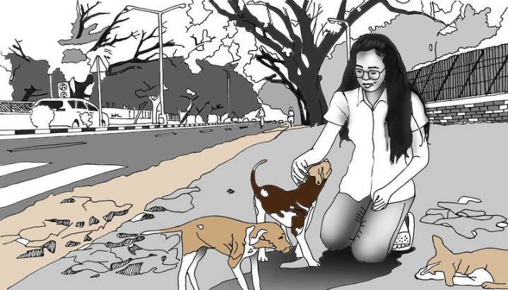 How a stray turned my fear of dogs into love