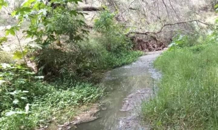 Ayuntamiento reconoce posible falla municipal en derrame del Río Paisanos