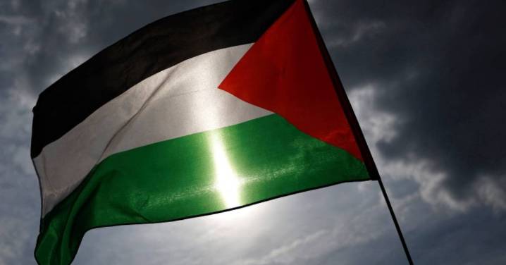 Realizan mexicanos jornada solidaria con familias de Gaza en Coyoacán