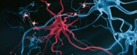 Fat Buildup in Brain Cells Could Provide New Target For Alzheimer's Treatment