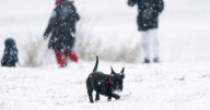 UK faces first snow of autumn with '169 miles' at risk of flurries
