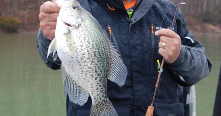 Upstate Sportsman: Tournament angler reveals fall’s best kept crappie fishing secret