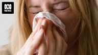 WA's flu season exceeds 30,000 cases as authorities  blame low vaccination rates