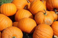 Hoy es el National Pumpkin Day: cómo puedes celebrarlo