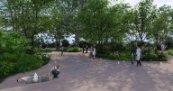 New Central London garden approved to create 'one of most biodiverse spaces' in the inner city