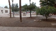 El jardín de la hermana Sabina abandona el abandono